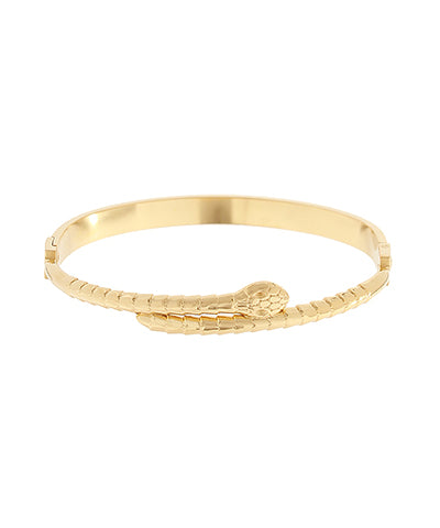 Snake Bracelet