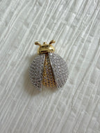 LadyBug Charm