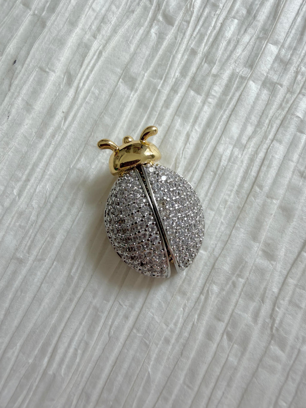LadyBug Charm