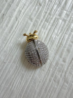 LadyBug Charm