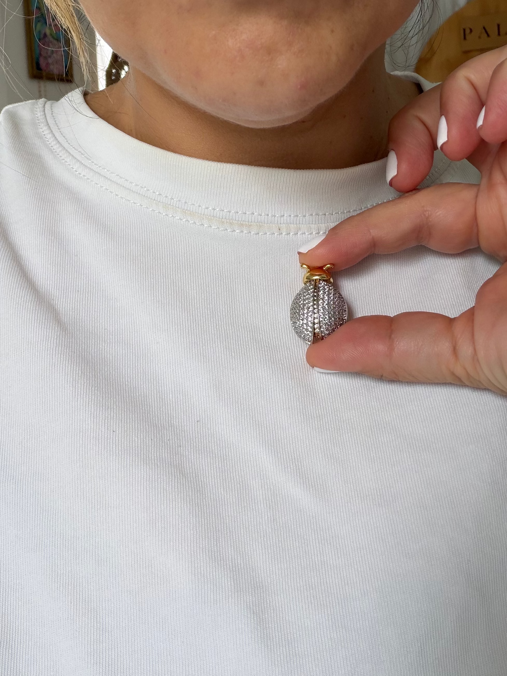 LadyBug Charm