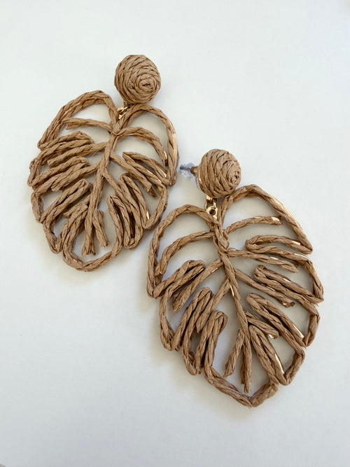 Raffia Monsterra Stunners