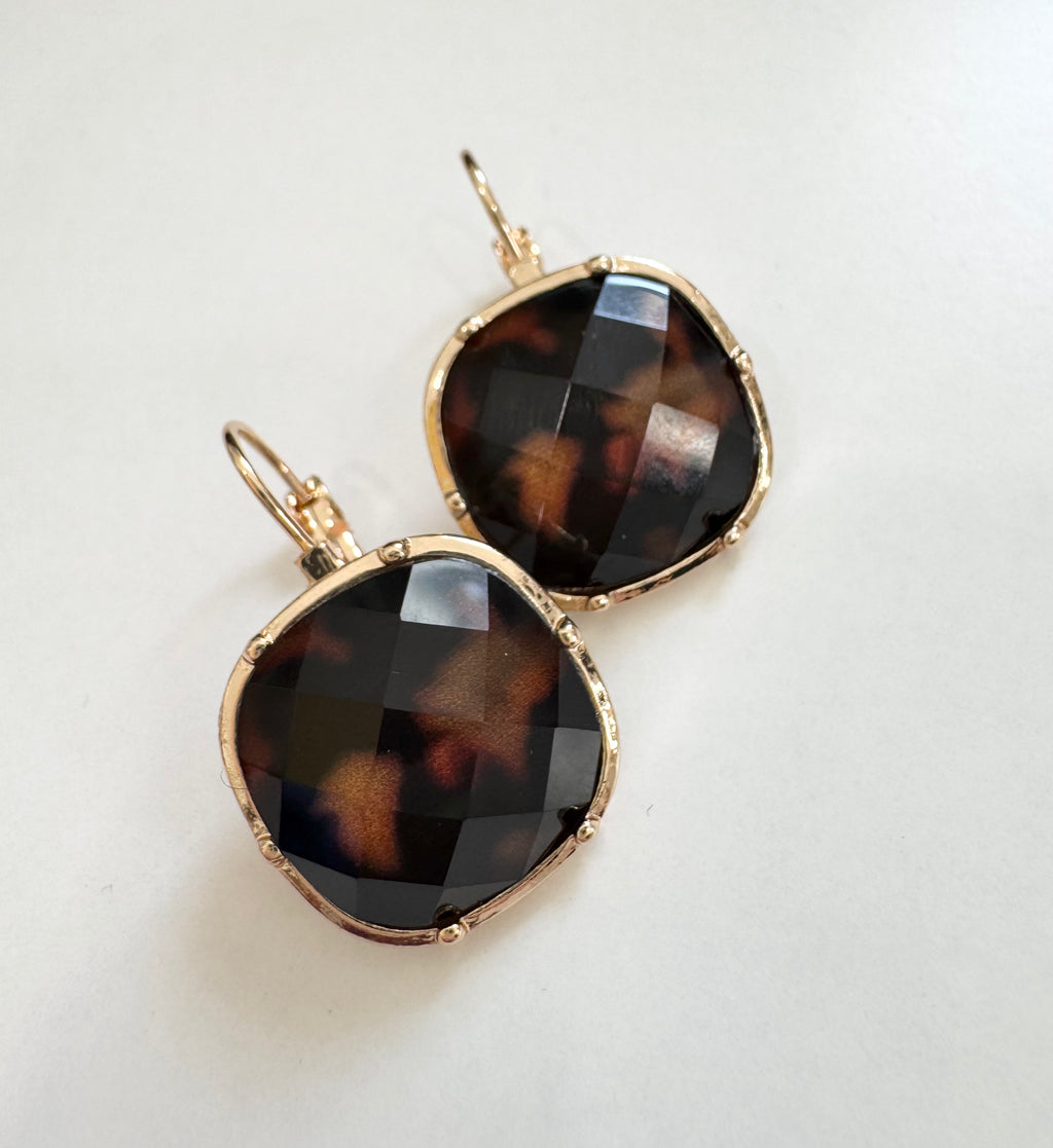 Tortoise Hoops 1023