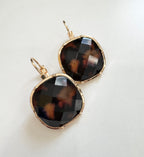 Tortoise Hoops 1023