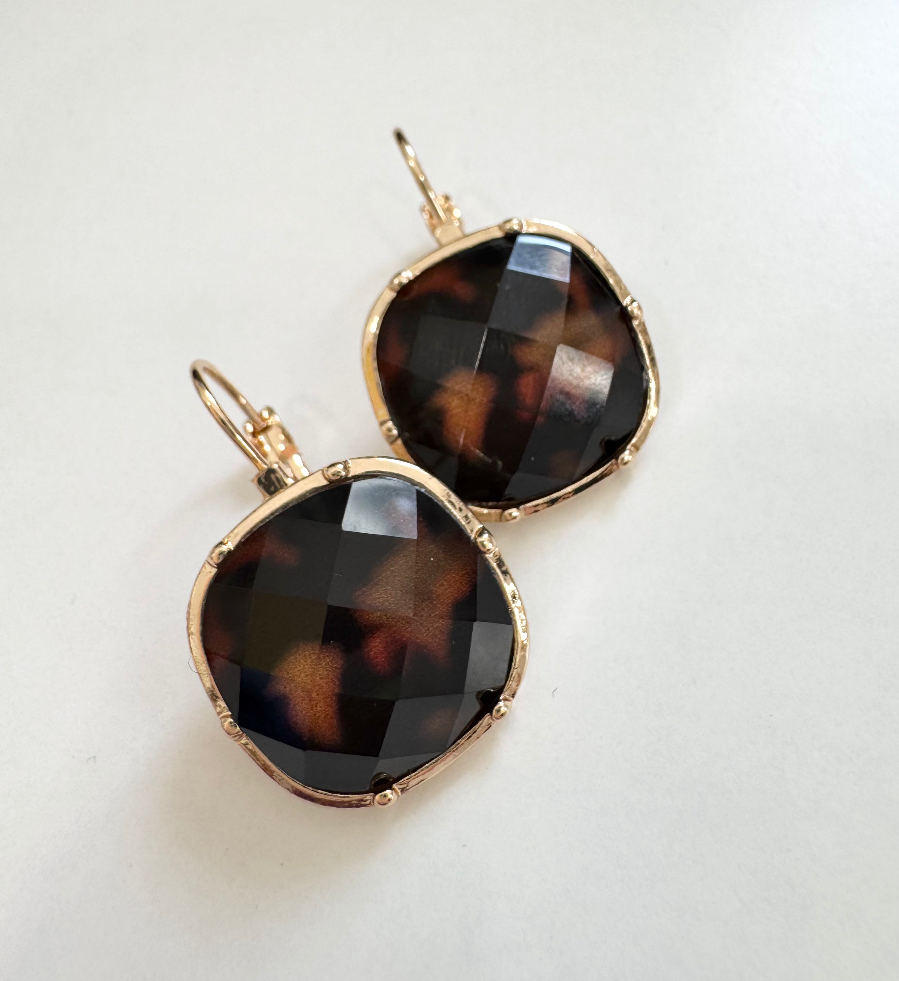 Tortoise Hoops 1023