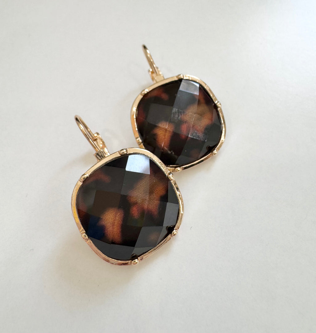 Tortoise Hoops 1023