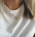 Ladybug Necklace 0309