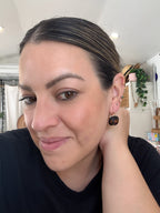 Tortoise Hoops 1023