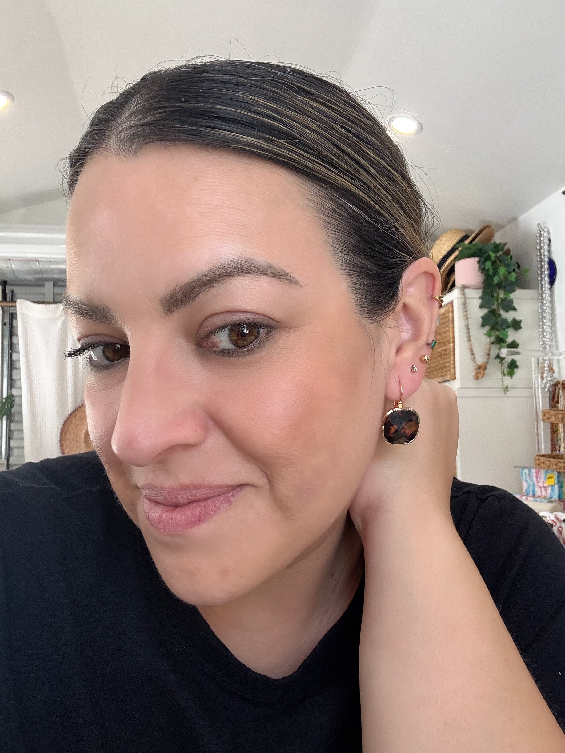 Tortoise Hoops 1023