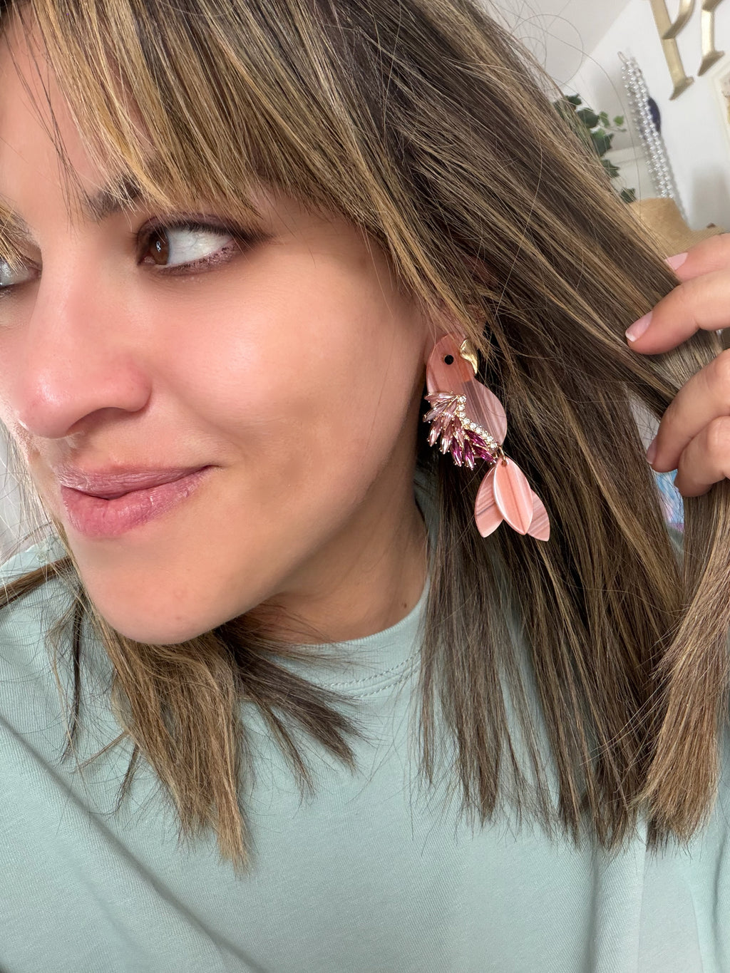 Pink Acrylic Parrots
